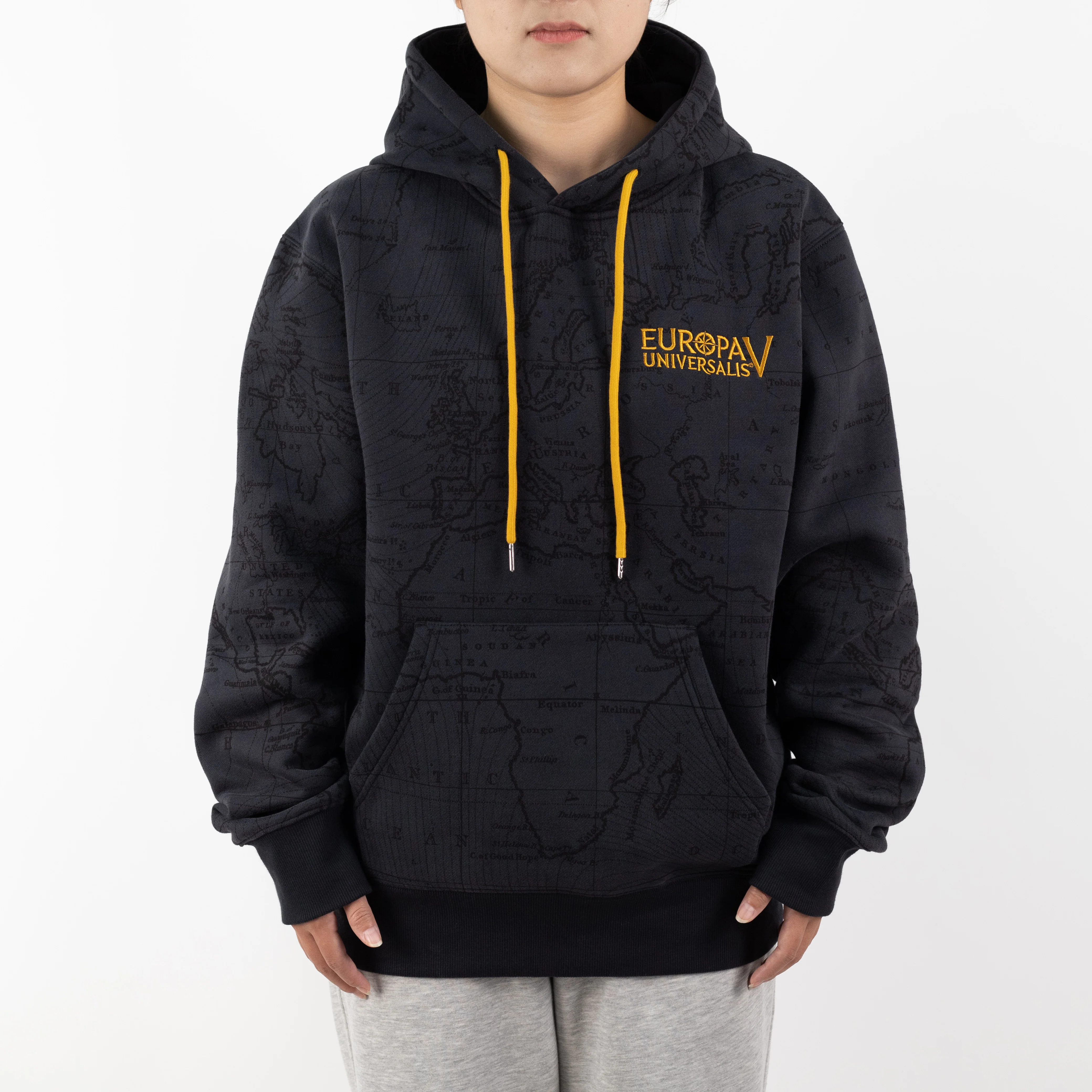 Tales of Ambition Hoodie - Image 4